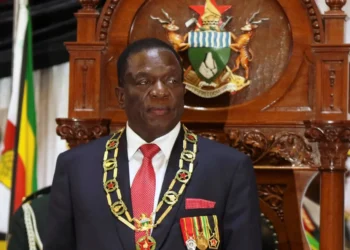 The Candidate at a Glance