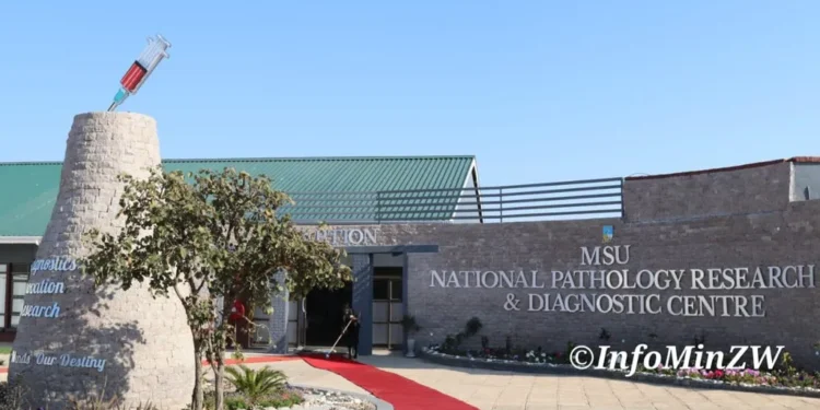 Education 5.0: Driving Technological Innovation and Industrial Development